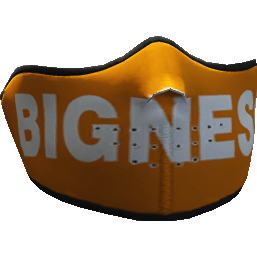 Bigness