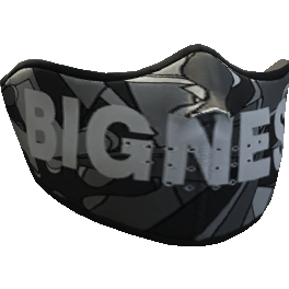 Bigness