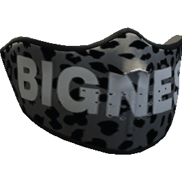 Bigness