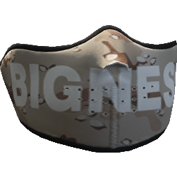 Bigness