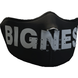 Bigness