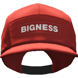 Кепка 'Bigness'
