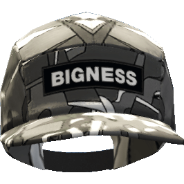 Кепка 'Bigness'