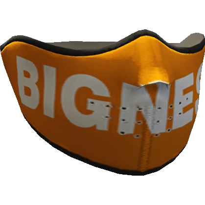 Bigness