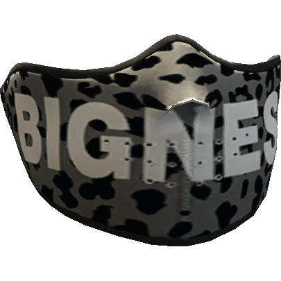 Bigness