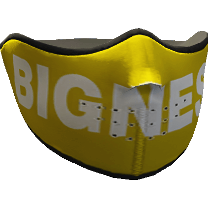 Bigness