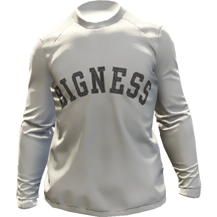 Свитшот 'Bigness'
