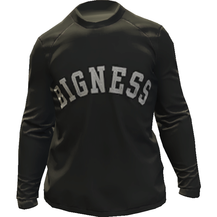 Свитшот 'Bigness'